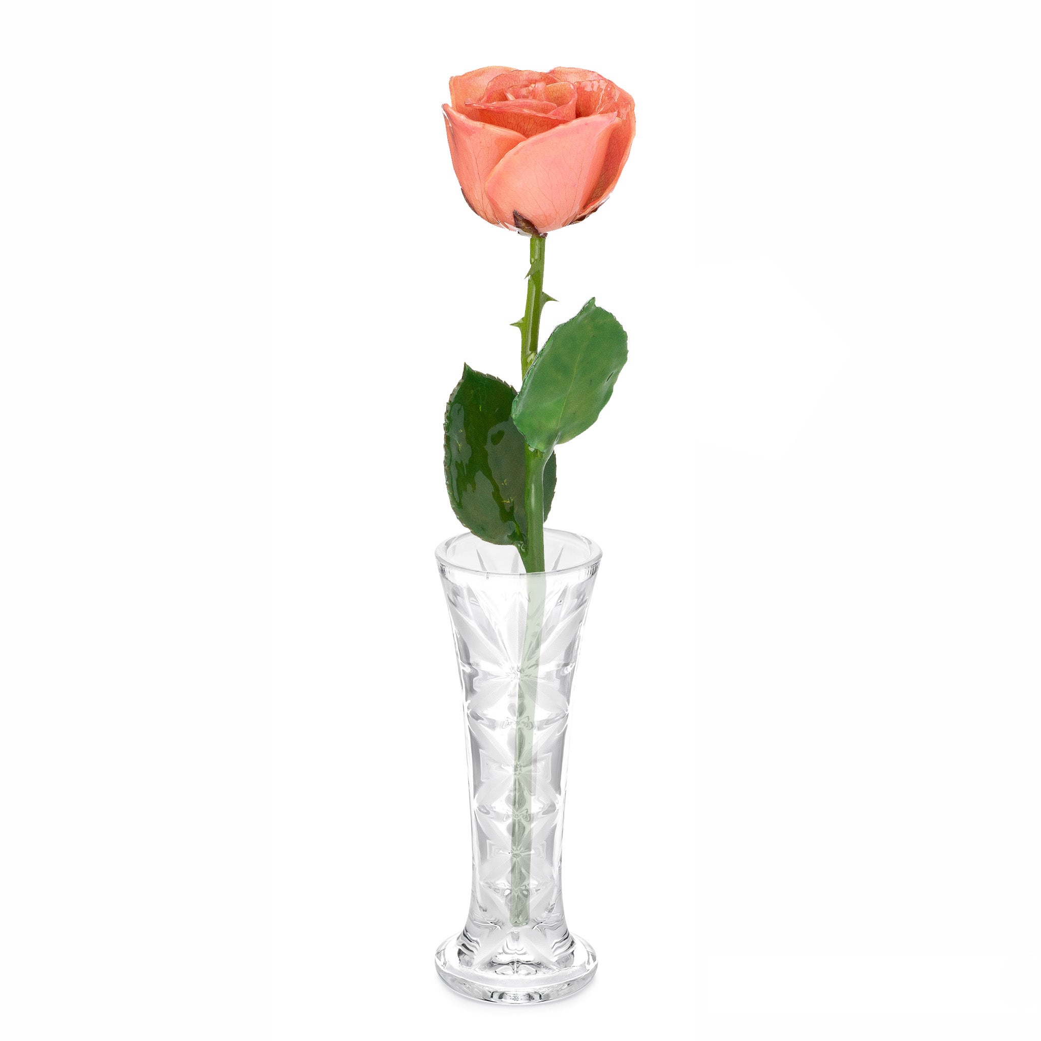 Natural Forever Rose - Pink