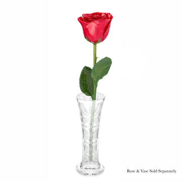 Natural Forever Rose - Red