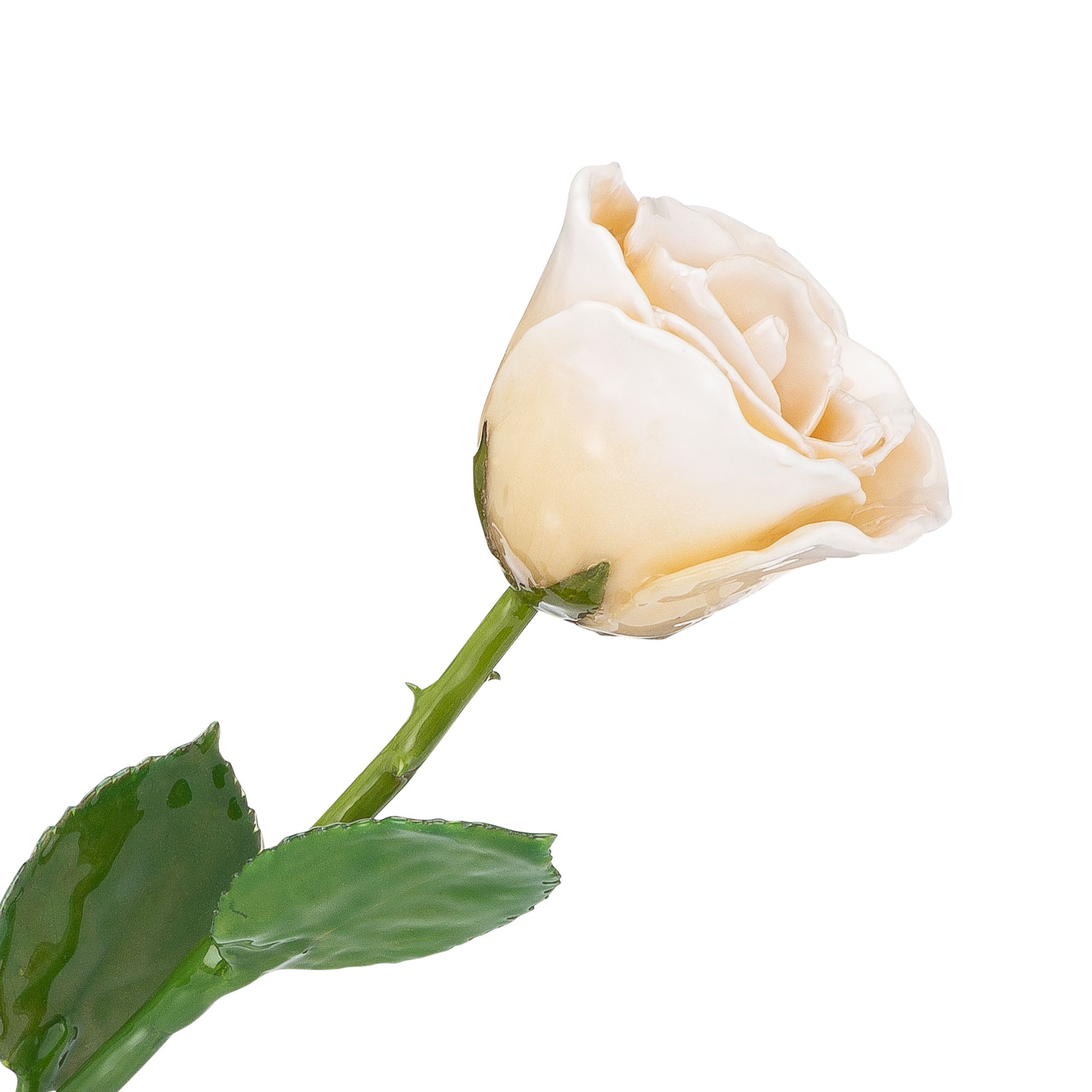 Natural (Green Stem) Forever Rose with White Colored Petals. View of Stem, Leaves, and Rose Petals. This a Forever Rose without any gold or other precious metals on it.