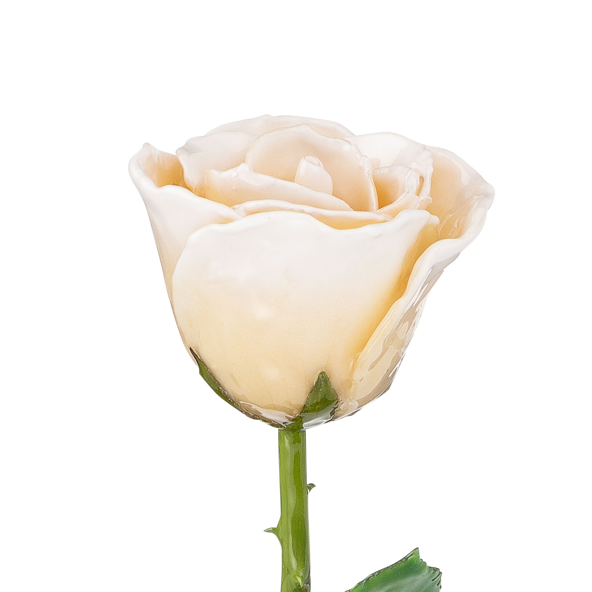 Natural (Green Stem) Forever Rose with White Colored Petals. View of Stem, Leaves, and Rose Petals. This a Forever Rose without any gold or other precious metals on it.