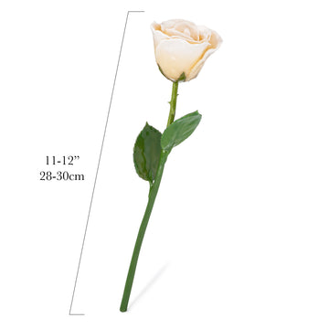 Natural Forever Rose - White
