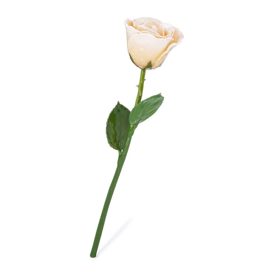 Natural (Green Stem) Forever Rose with White Colored Petals. View of Stem, Leaves, and Rose Petals. This a Forever Rose without any gold or other precious metals on it.