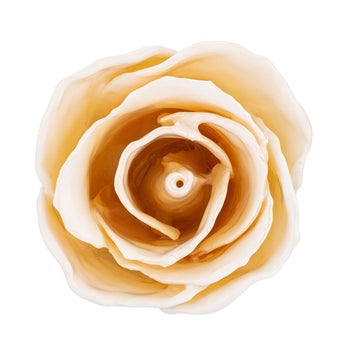 Natural (Green Stem) Forever Rose with White Colored Petals. View of Stem, Leaves, and Rose Petals. This a Forever Rose without any gold or other precious metals on it. View from top.