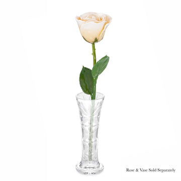 Natural Forever Rose - White