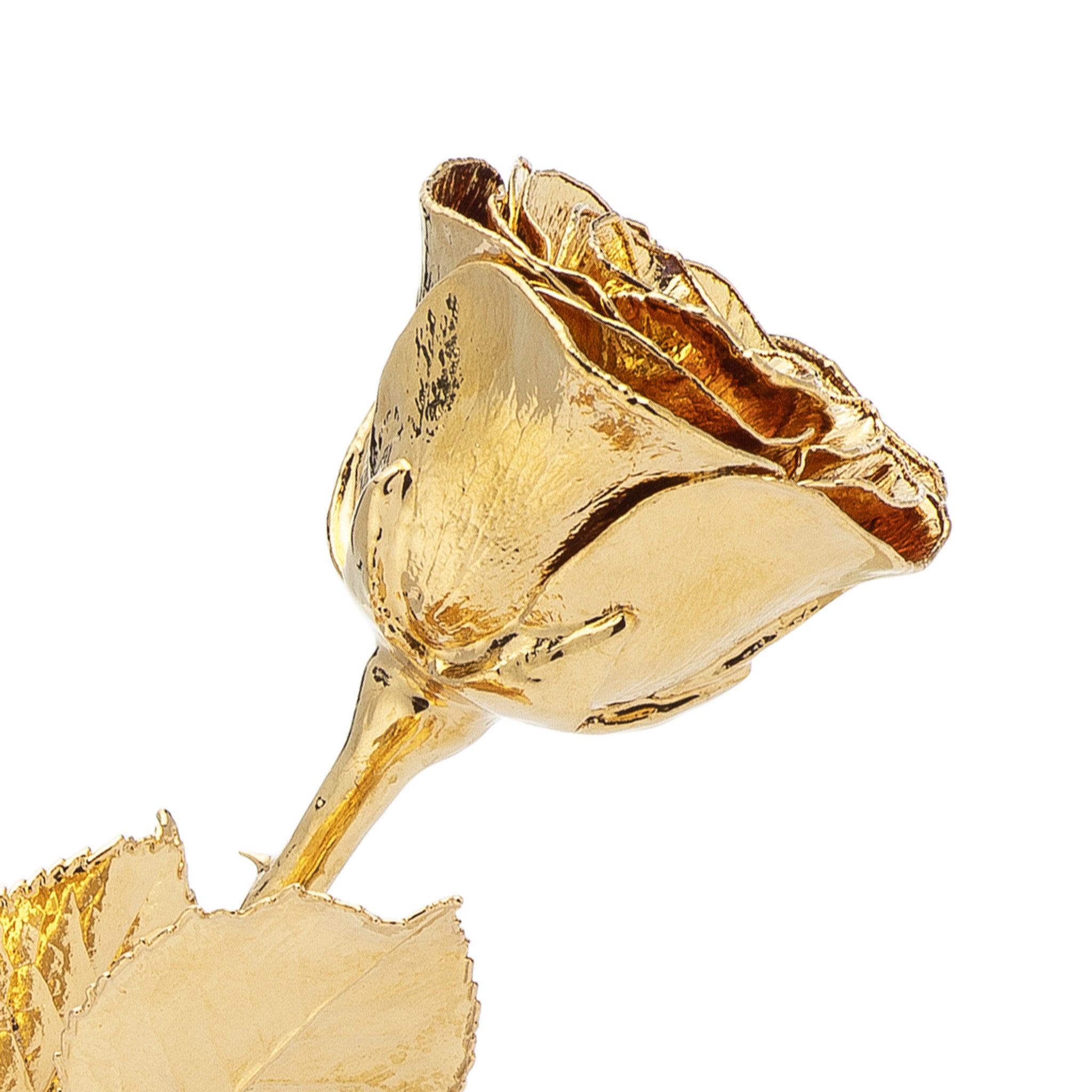 High Detail 24K Gold Rose with Extra Long Stem (18