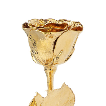High Detail 24K Gold Rose with Extra Long Stem (18")