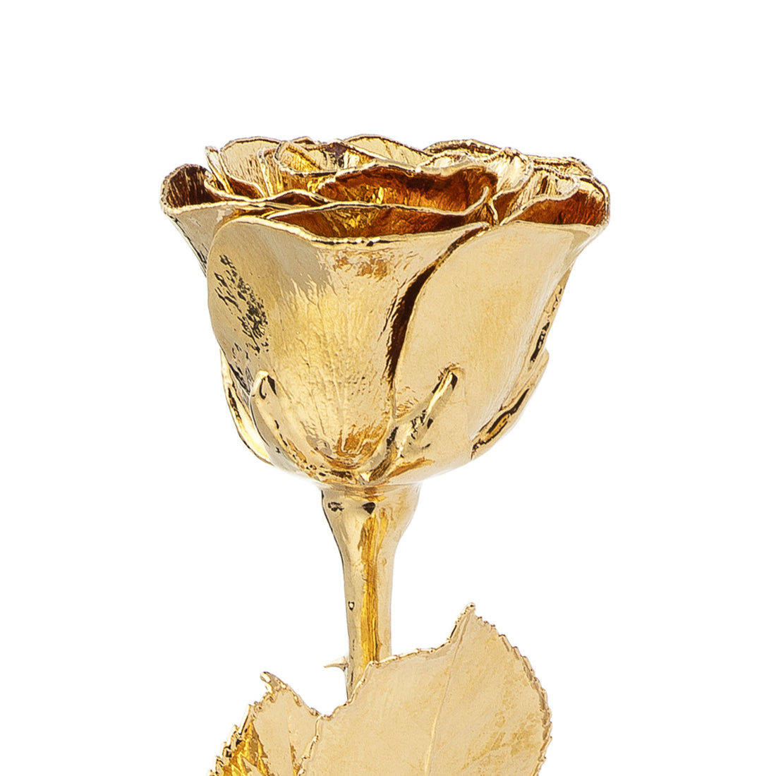 Forever Rose Leather Display Case Combo (High Detail 24K Gold Rose 12")