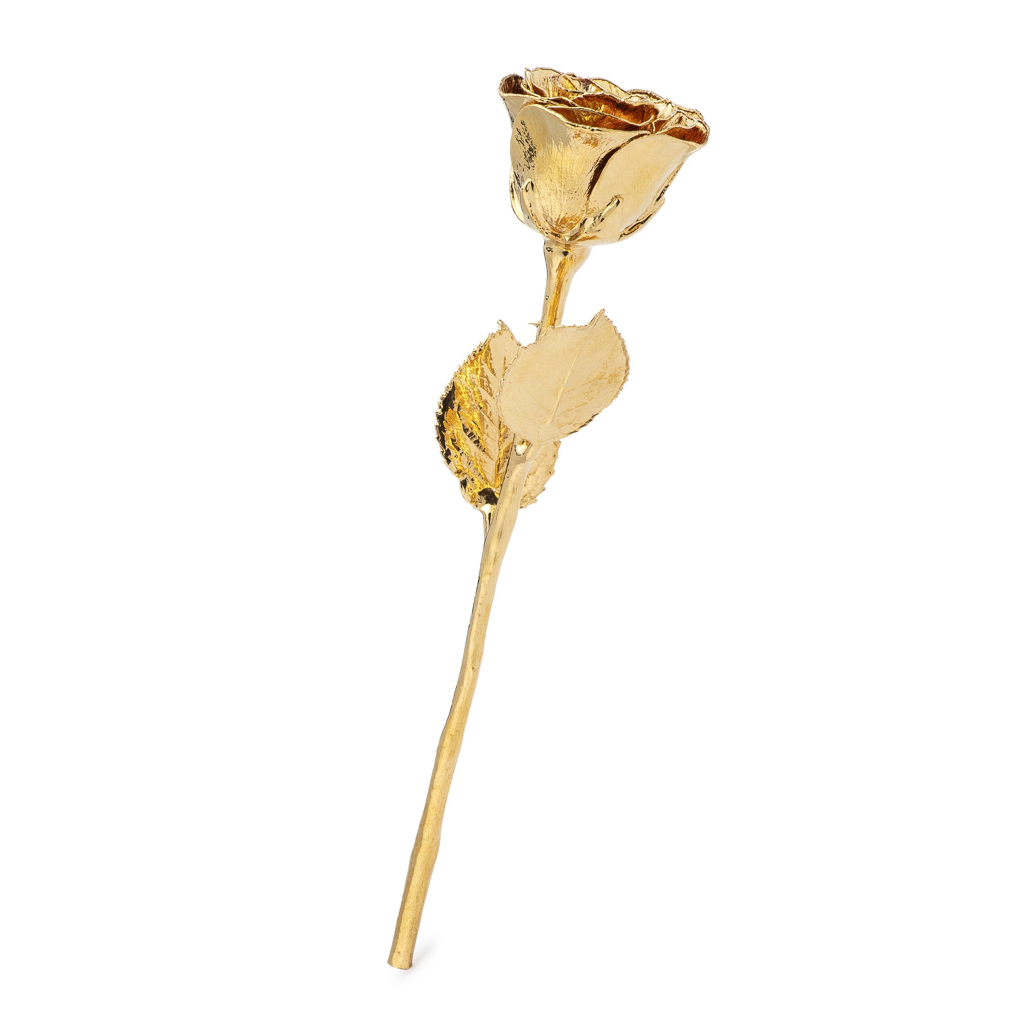 Forever Rose Leather Display Case Combo (High Detail 24K Gold Rose 12")