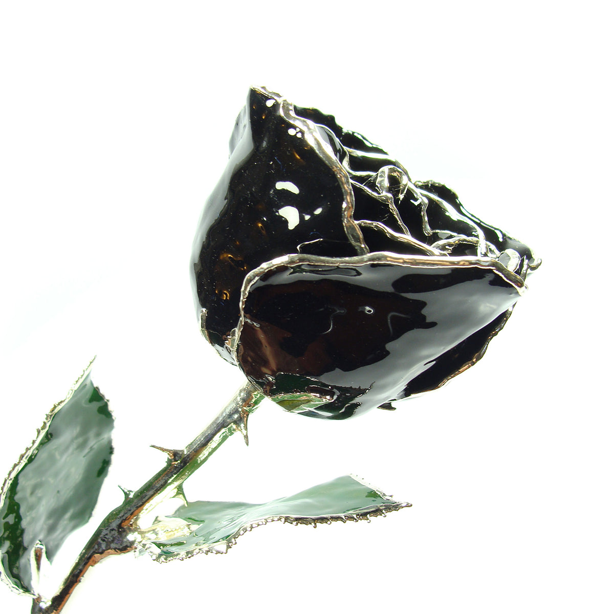 Silver Trimmed Forever Rose with Black Petals. View of Stem, Leaves, and Rose Petals and Showing Detail of Silver Trim
