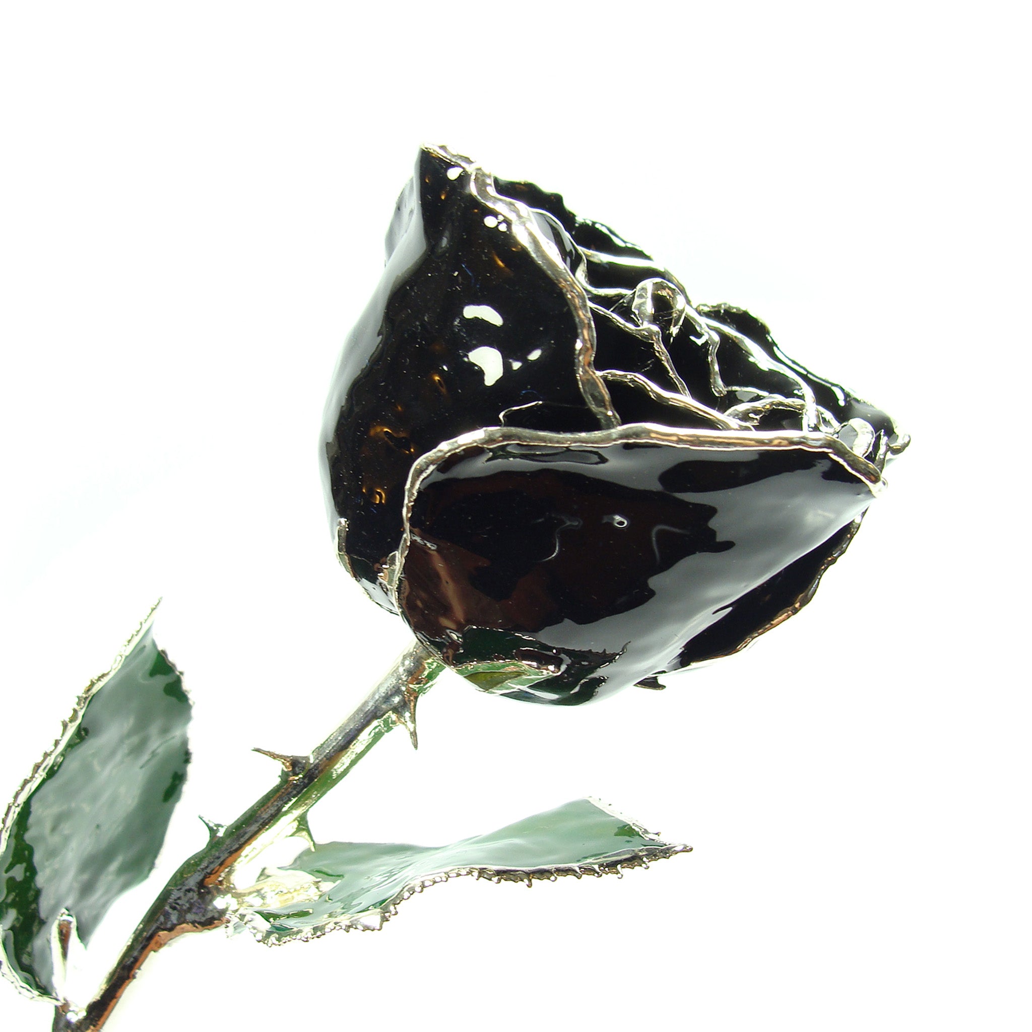 Silver Forever Rose – Black - The Forever Rose