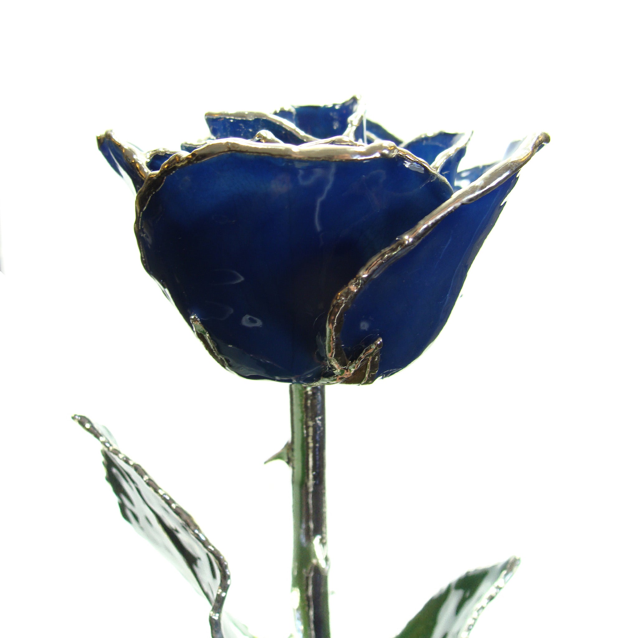 Silver Forever Rose – Blue