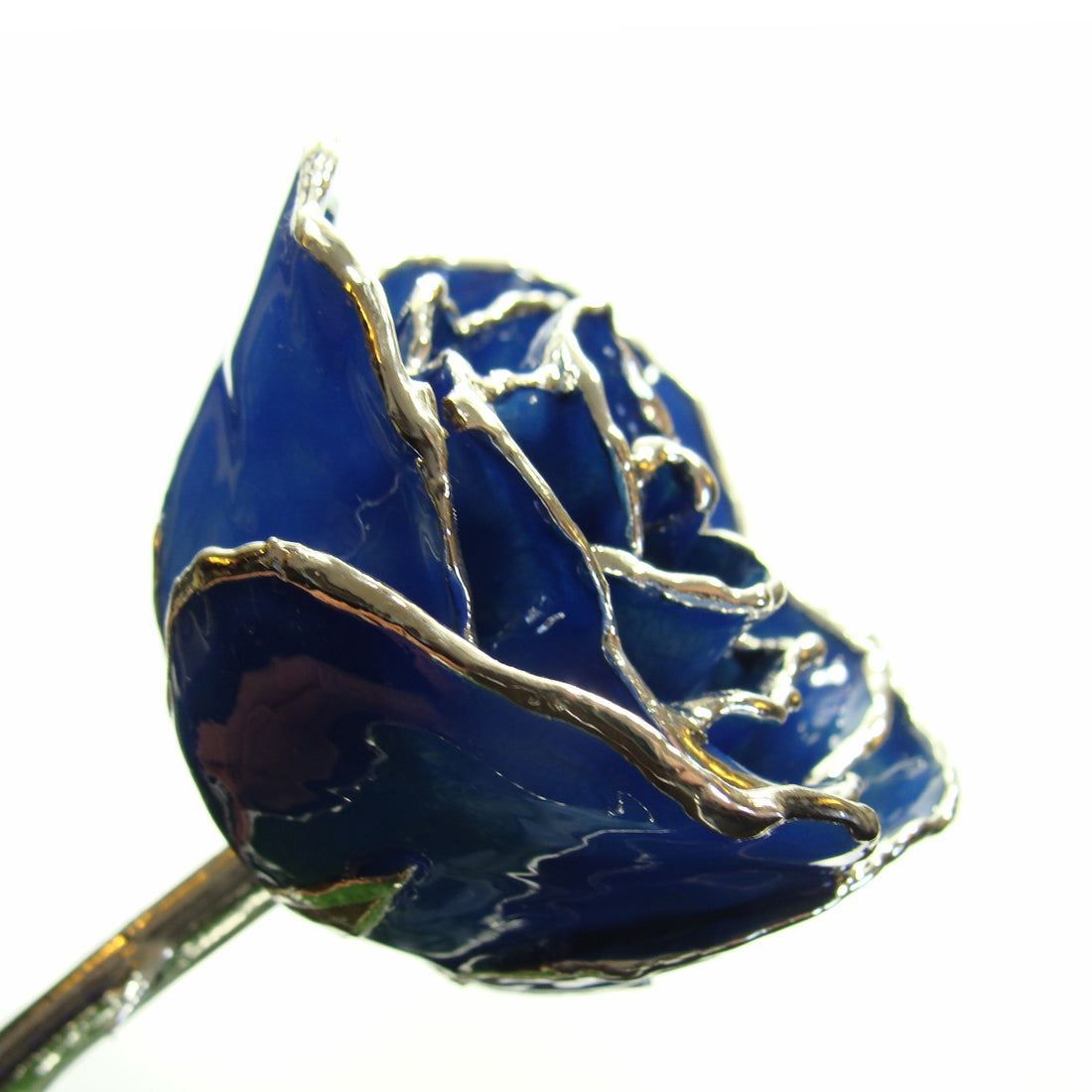 Silver Forever Rose – Blue