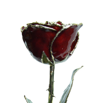 Silver Trimmed Forever Rose with Burgundy Petals. View of Stem, Leaves, and Rose Petals and Showing Detail of Silver Trim
