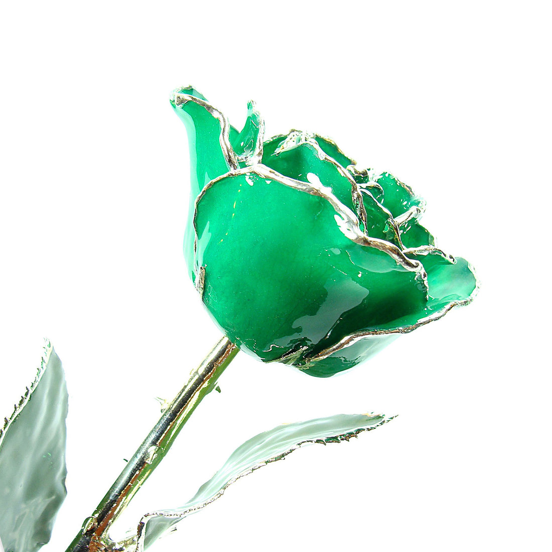 Silver Trimmed Forever Rose with Green Petals. View of Stem, Leaves, and Rose Petals and Showing Detail of Silver Trim