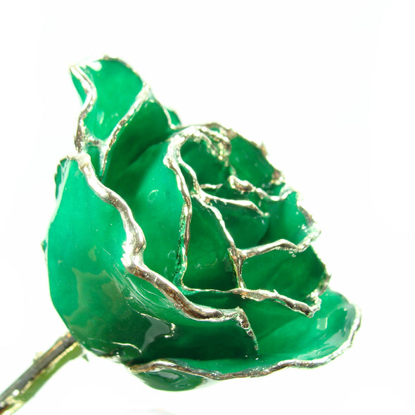 Silver Trimmed Forever Rose with Green Petals. View of Stem, Leaves, and Rose Petals and Showing Detail of Silver Trim