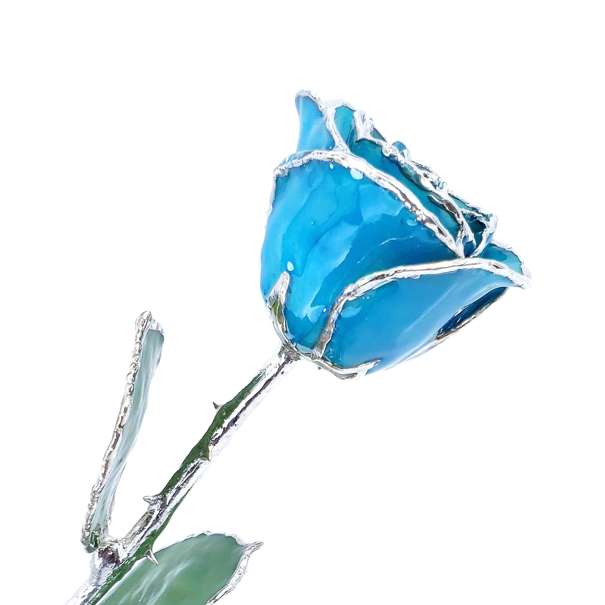 Silver Forever Rose - Southwest Turquoise