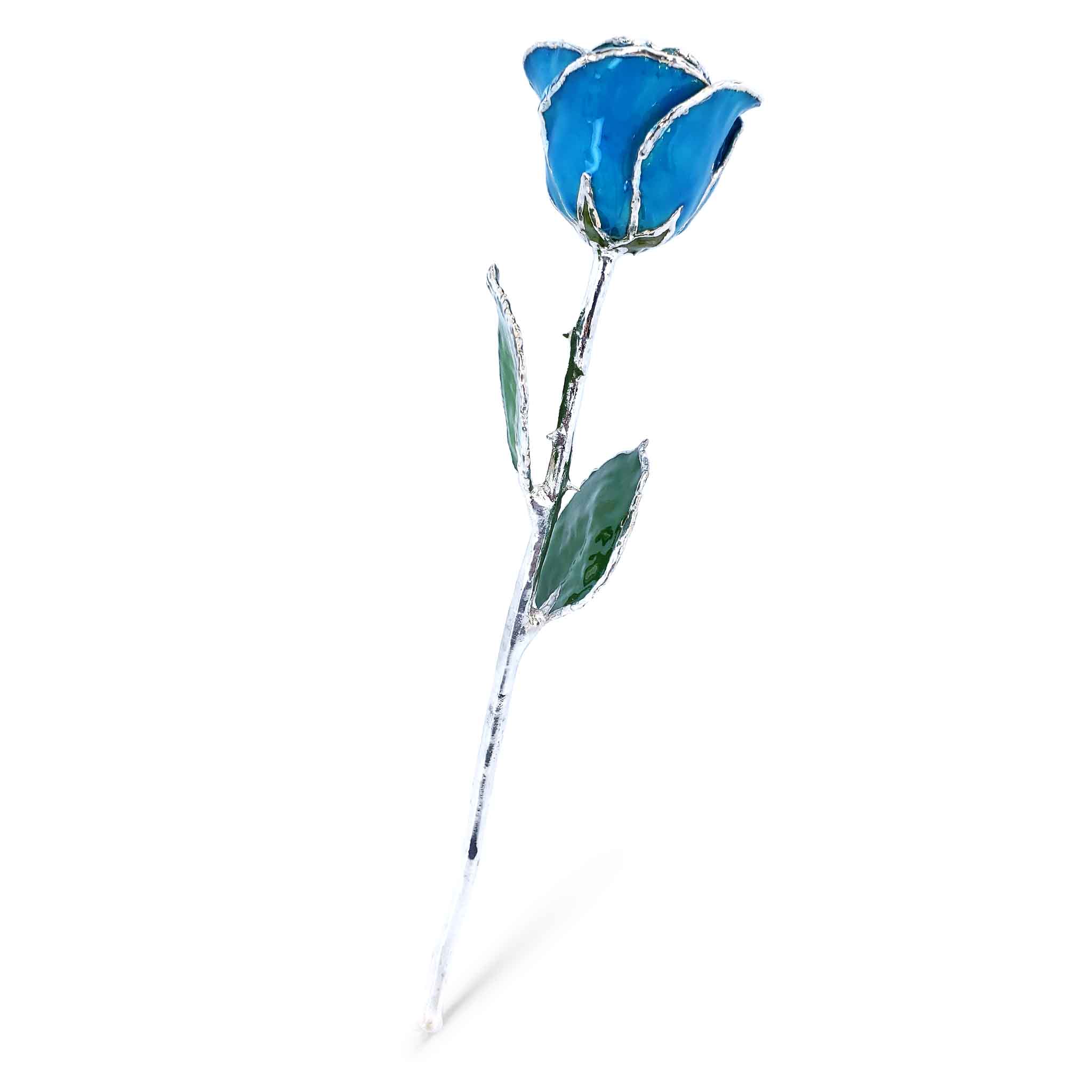 Silver Forever Rose - Southwest Turquoise