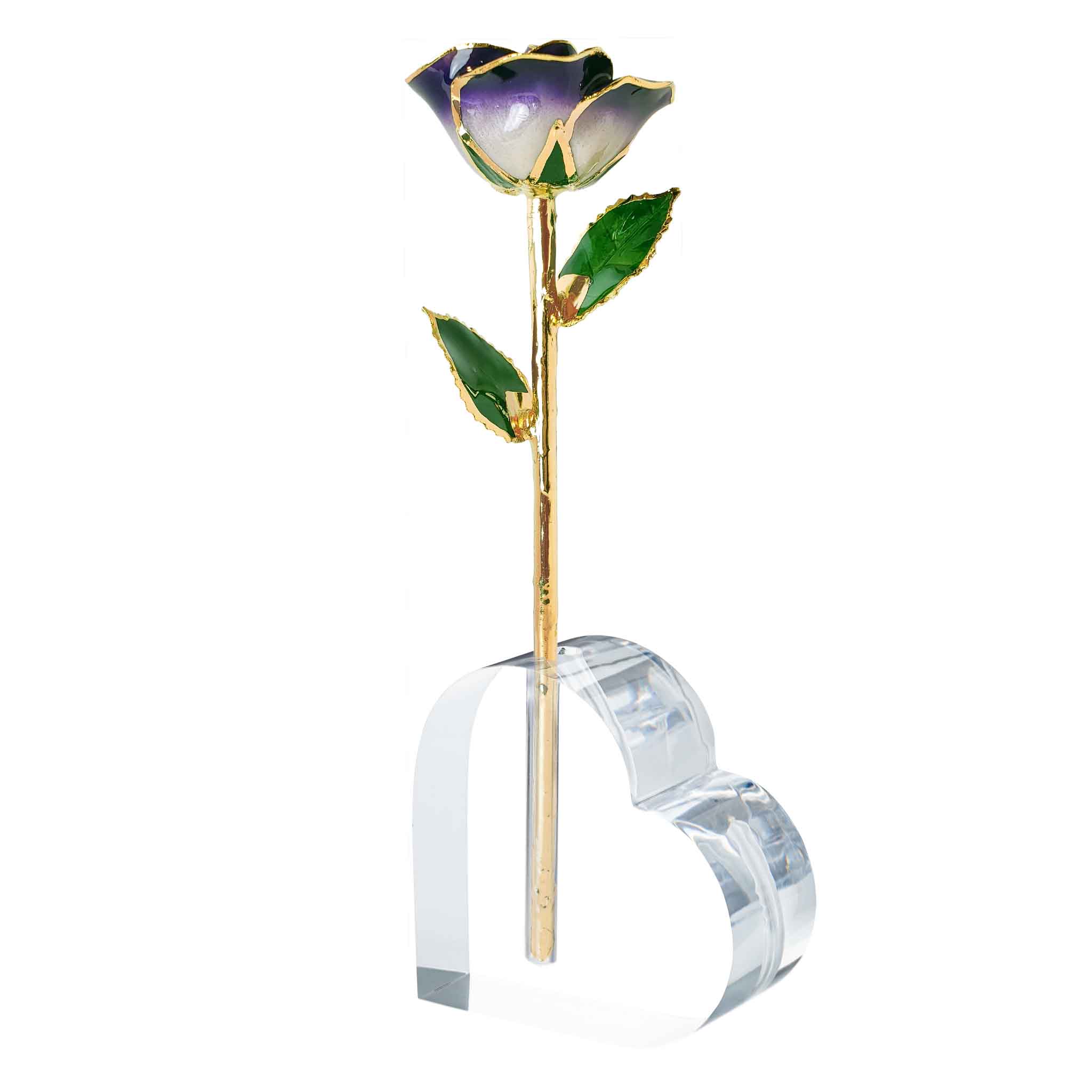 24K Gold Forever Rose - Eternal Bliss (Open Bloom)