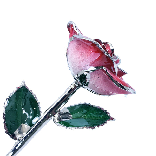 Platinum Forever Rose - Red 2-Tone