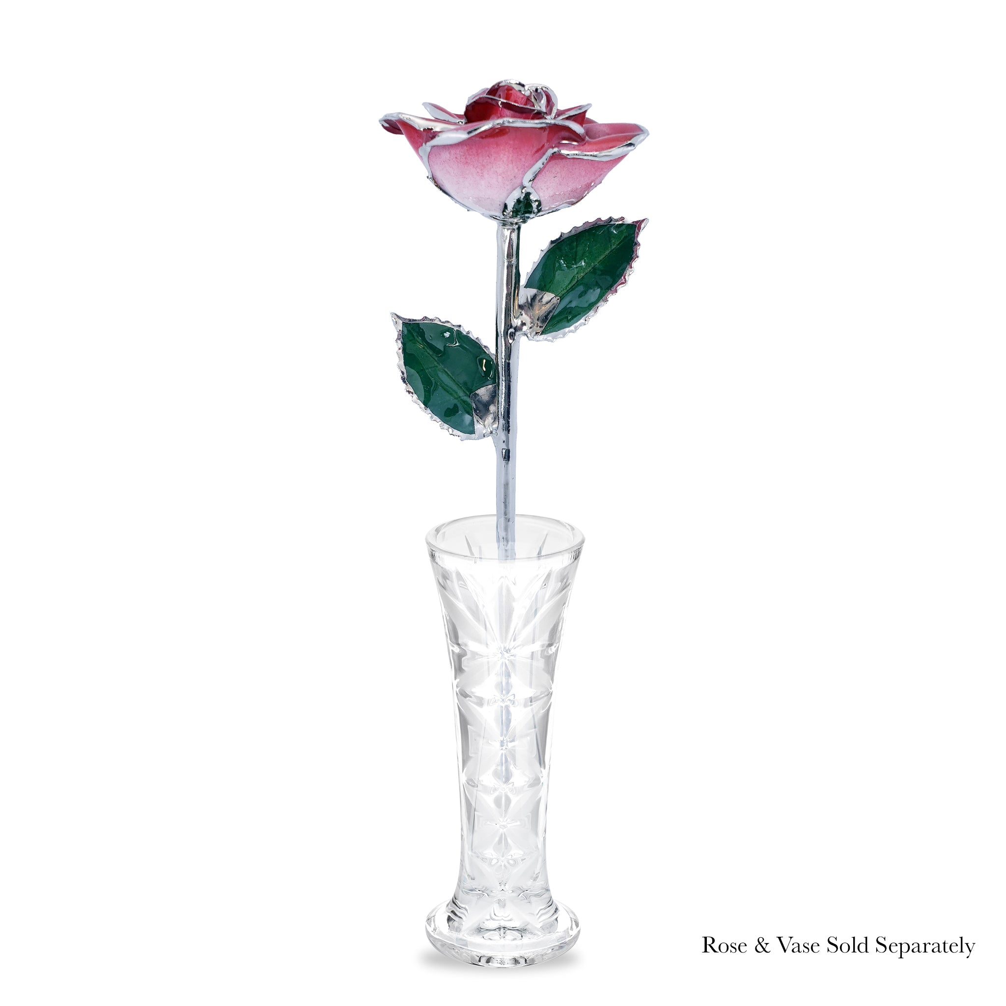 Platinum Forever Rose - Red 2-Tone