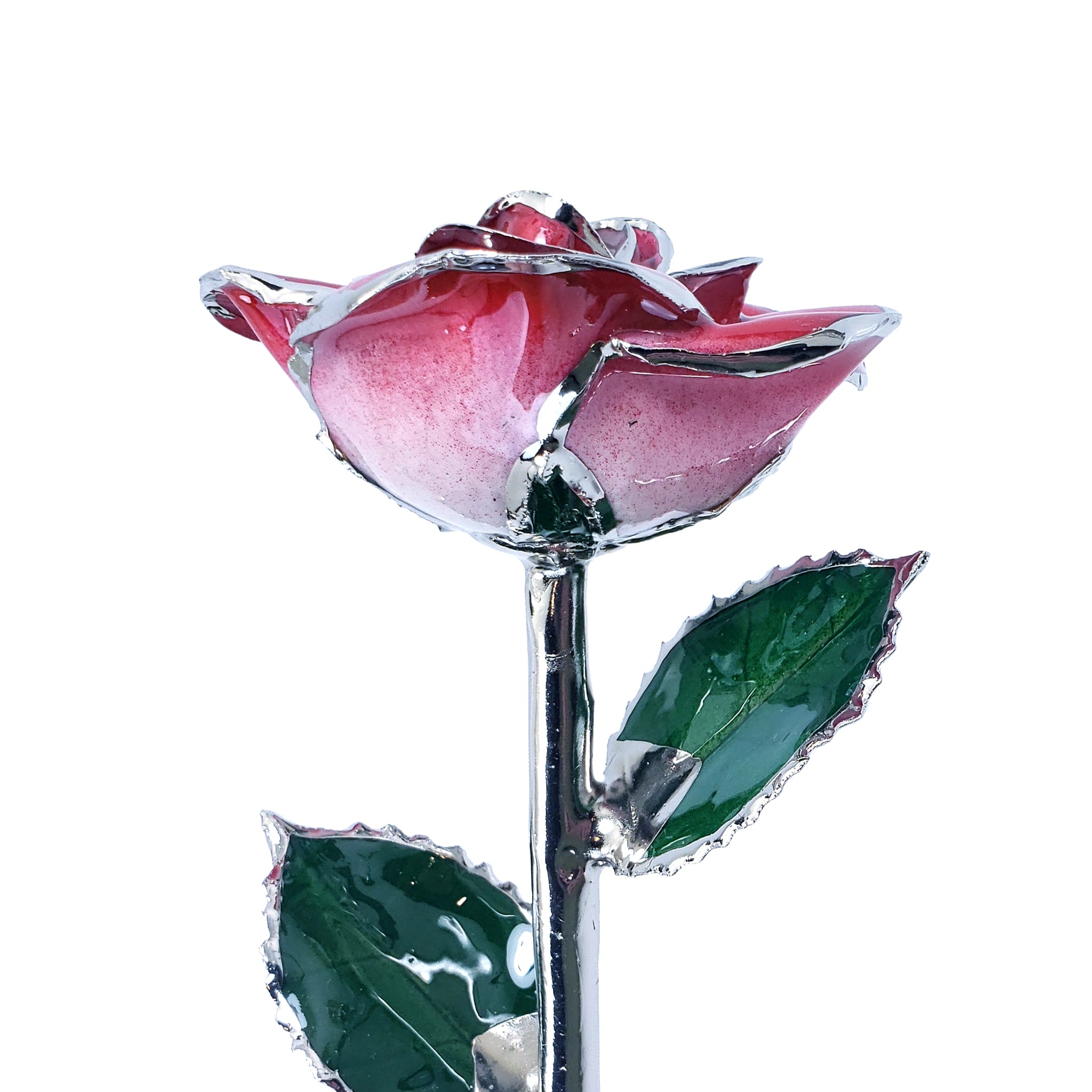 Platinum Forever Rose - Red 2-Tone