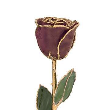 Custom Enchanted Rose w/ 24K Chocolate
