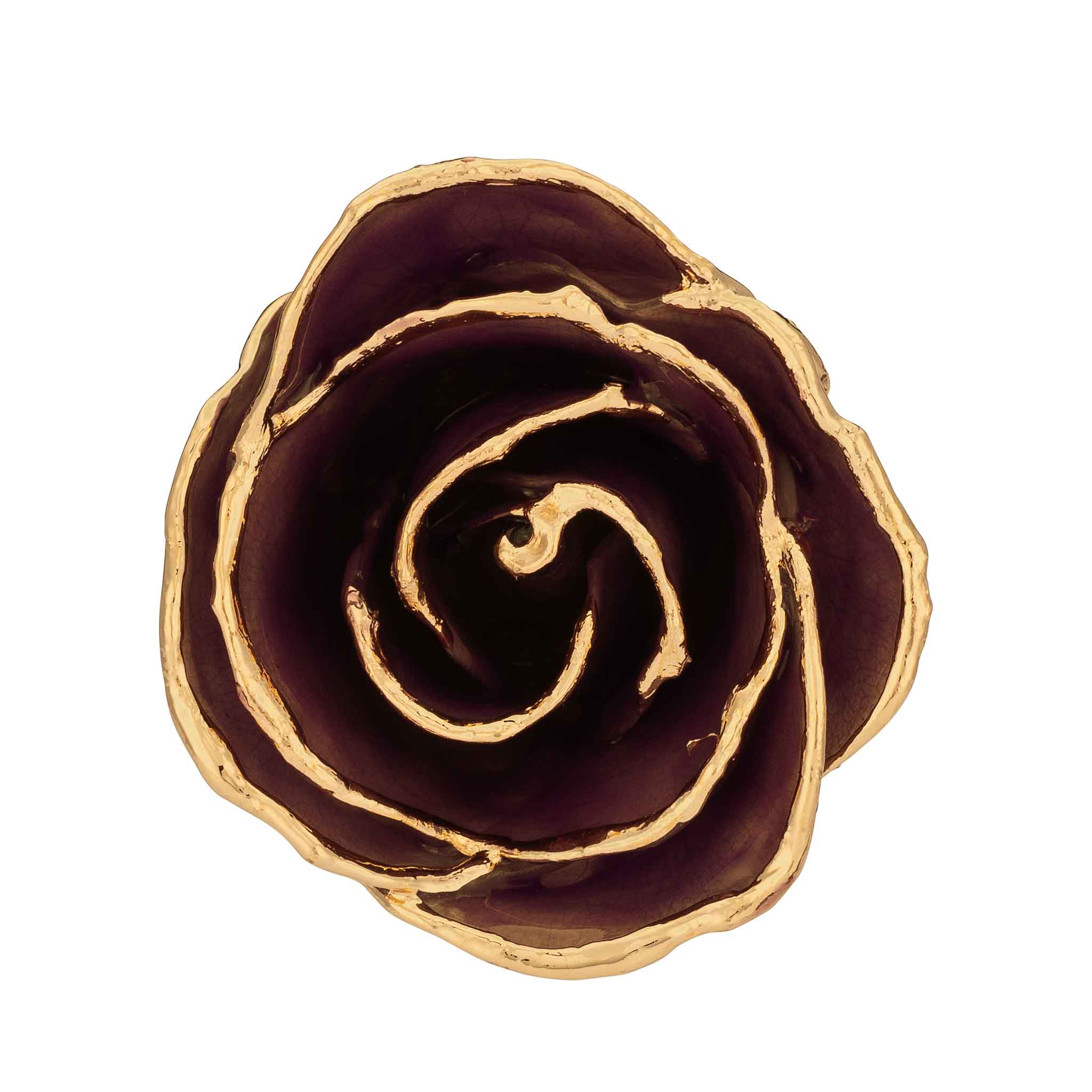 Custom Enchanted Rose w/ 24K Chocolate