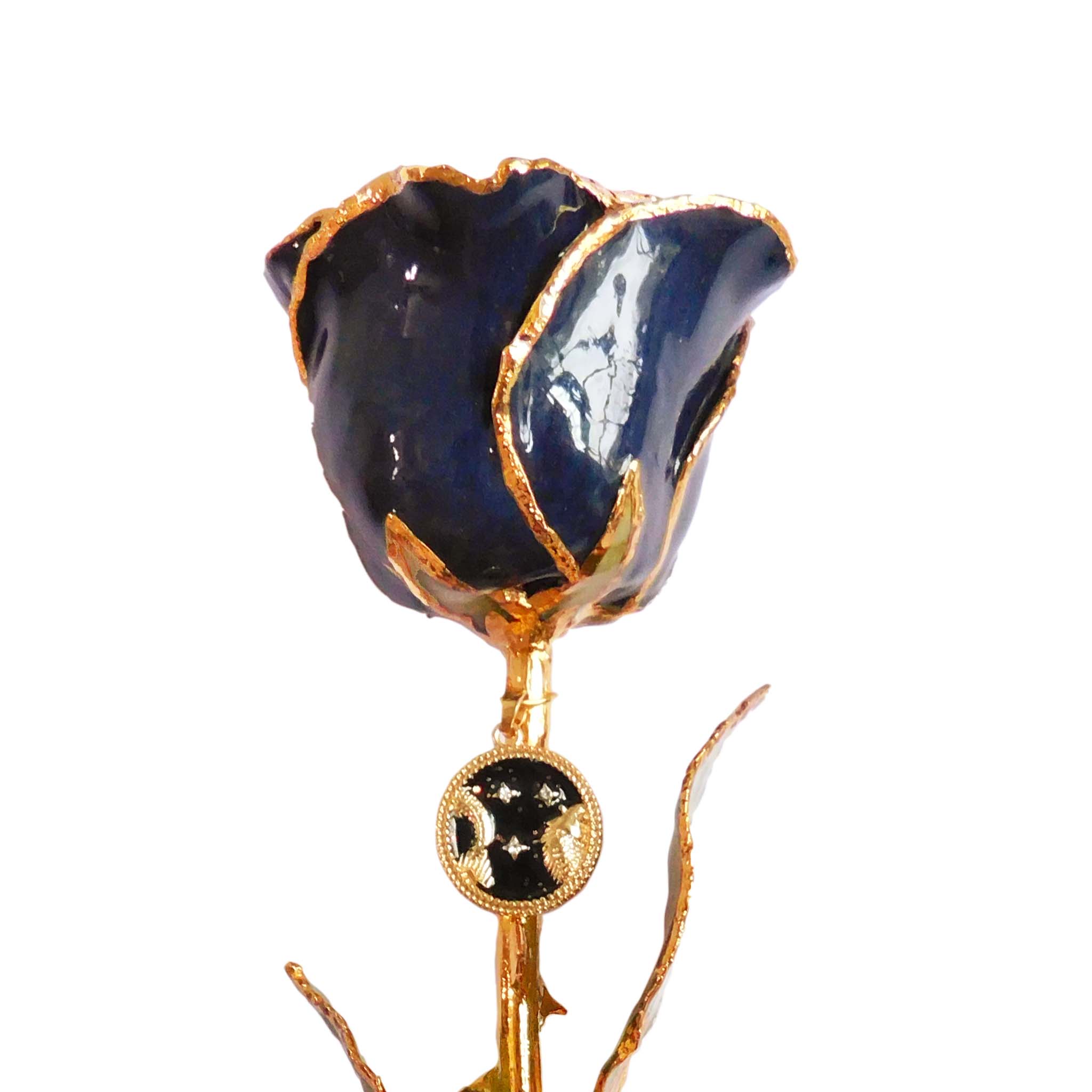 24K Gold Forever Rose - Zodiac with Pendant