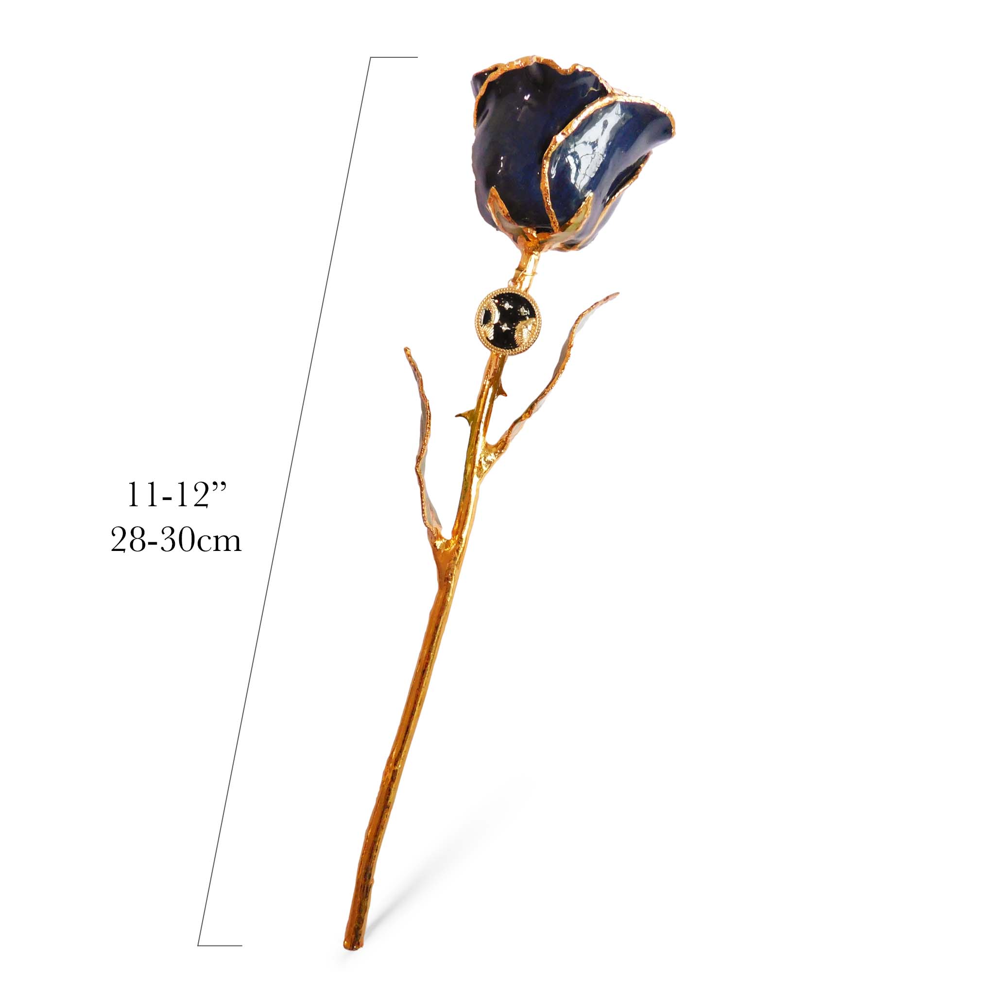 24K Gold Forever Rose - Zodiac with Pendant