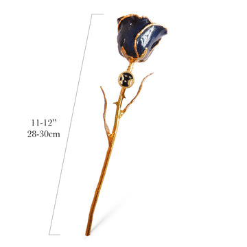 24K Gold Forever Rose - Zodiac with Pendant