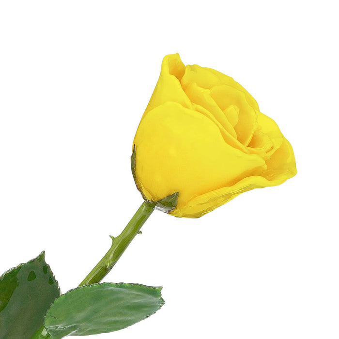 Natural Forever Rose - Yellow