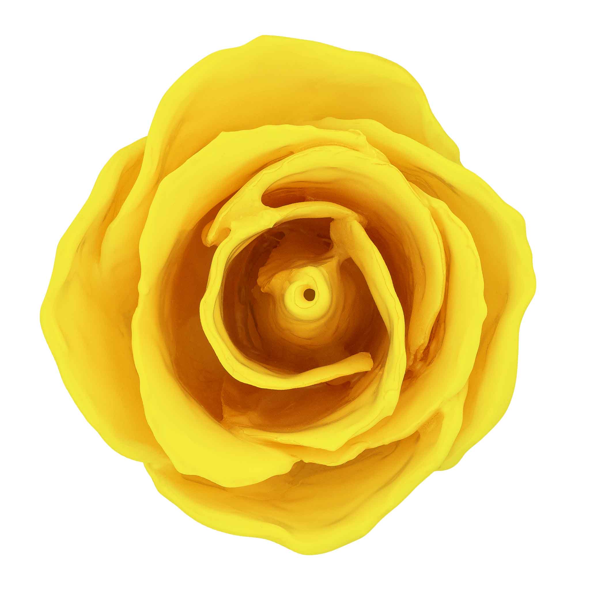 Natural Forever Rose - Yellow