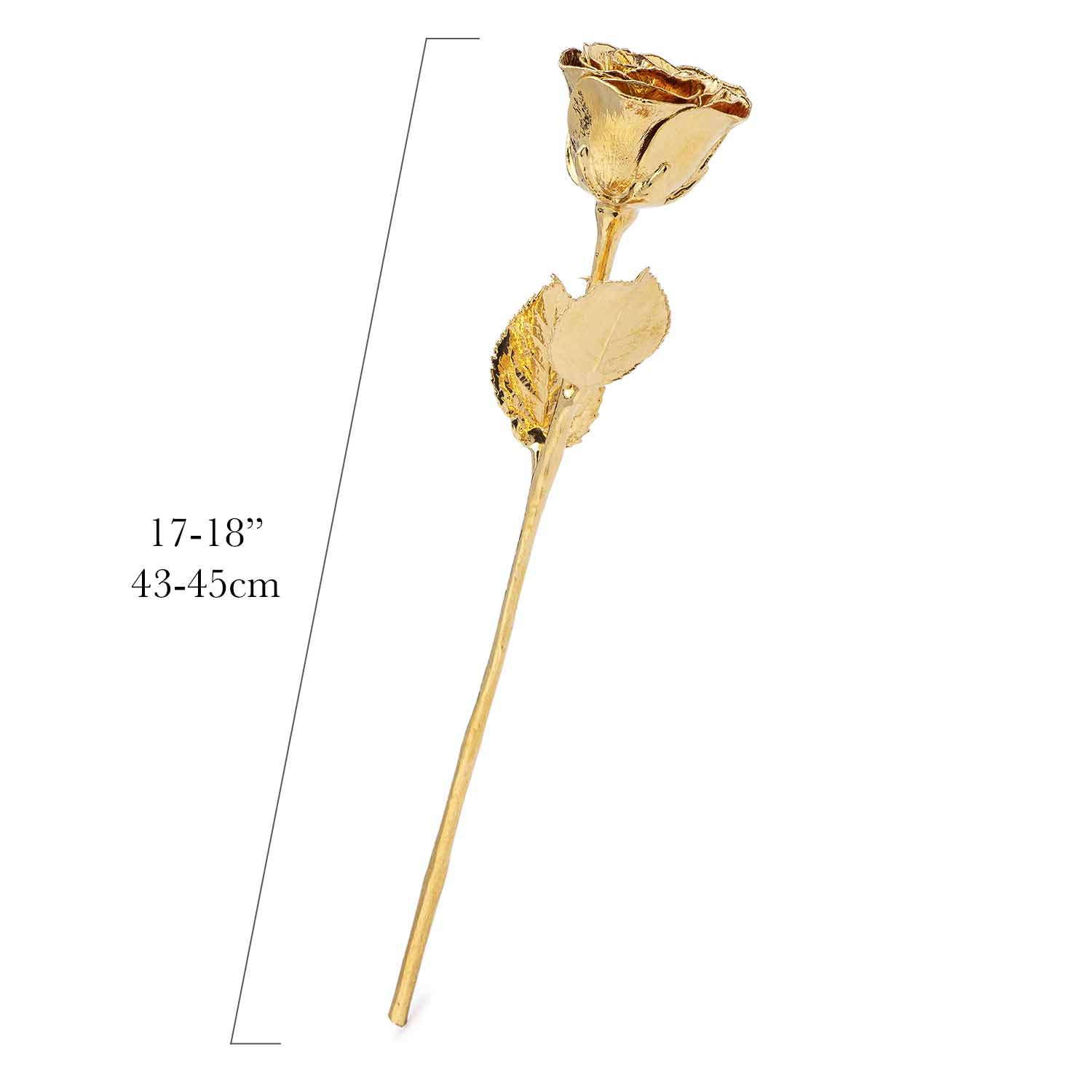 High Detail 24K Gold Rose with Extra Long Stem (18")
