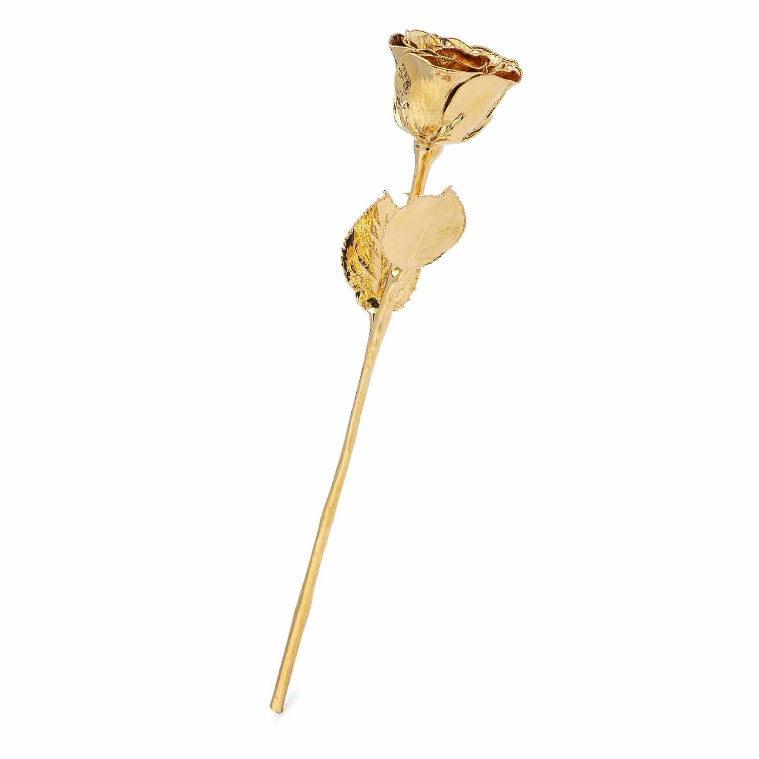 High Detail 24K Gold Rose with Extra Long Stem (18