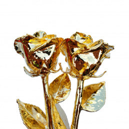 24K Gold Dipped Roses: Combo Deal