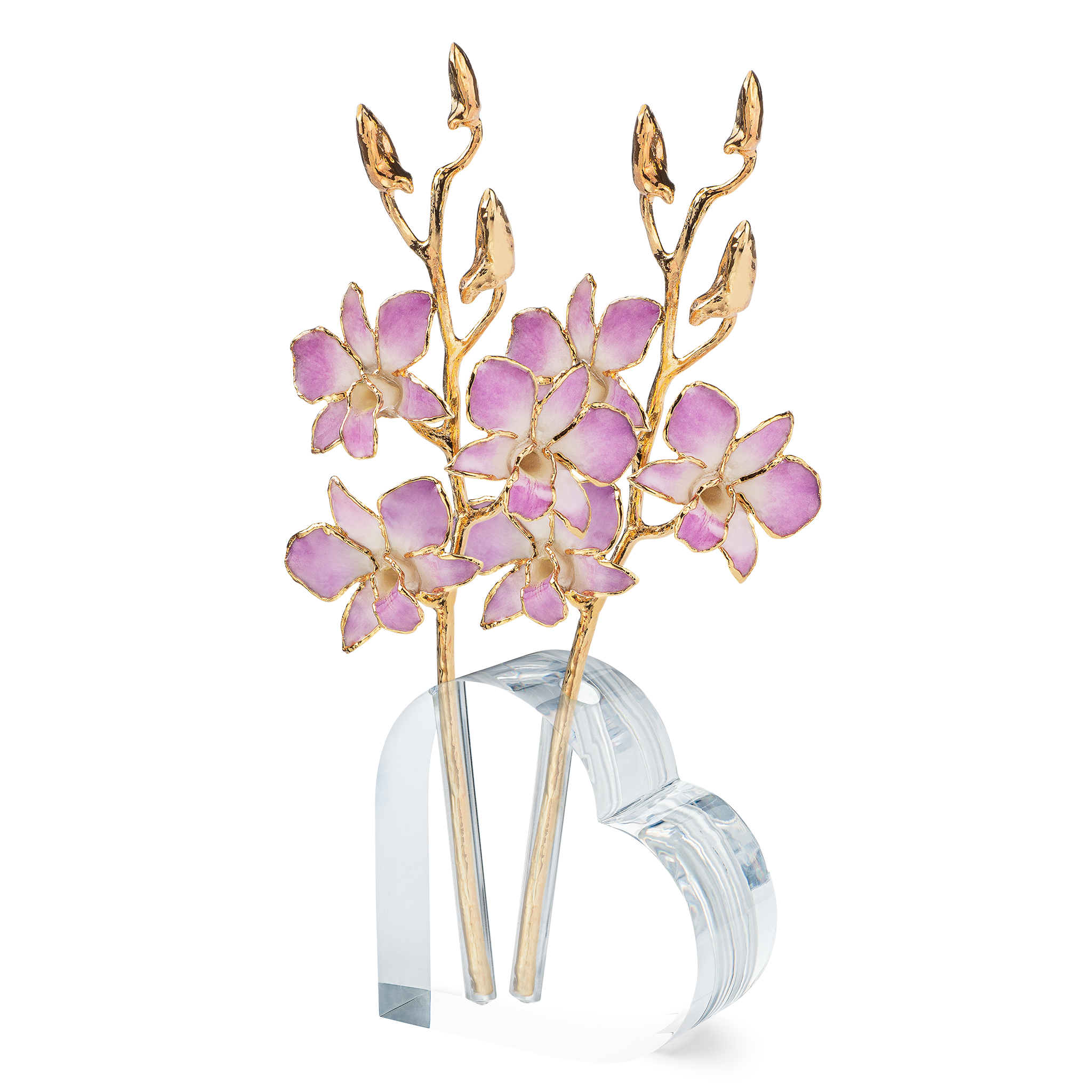 Forever Rose Acrylic Heart Vase (For Two Trimmed Roses)