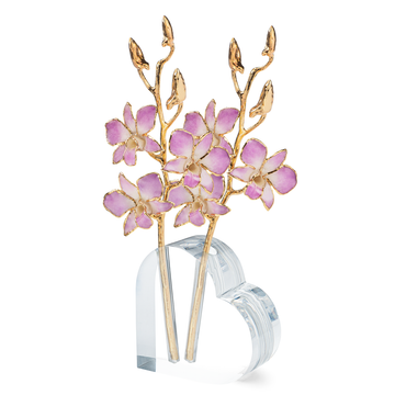 Forever Rose Acrylic Heart Vase (For Two Trimmed Roses)