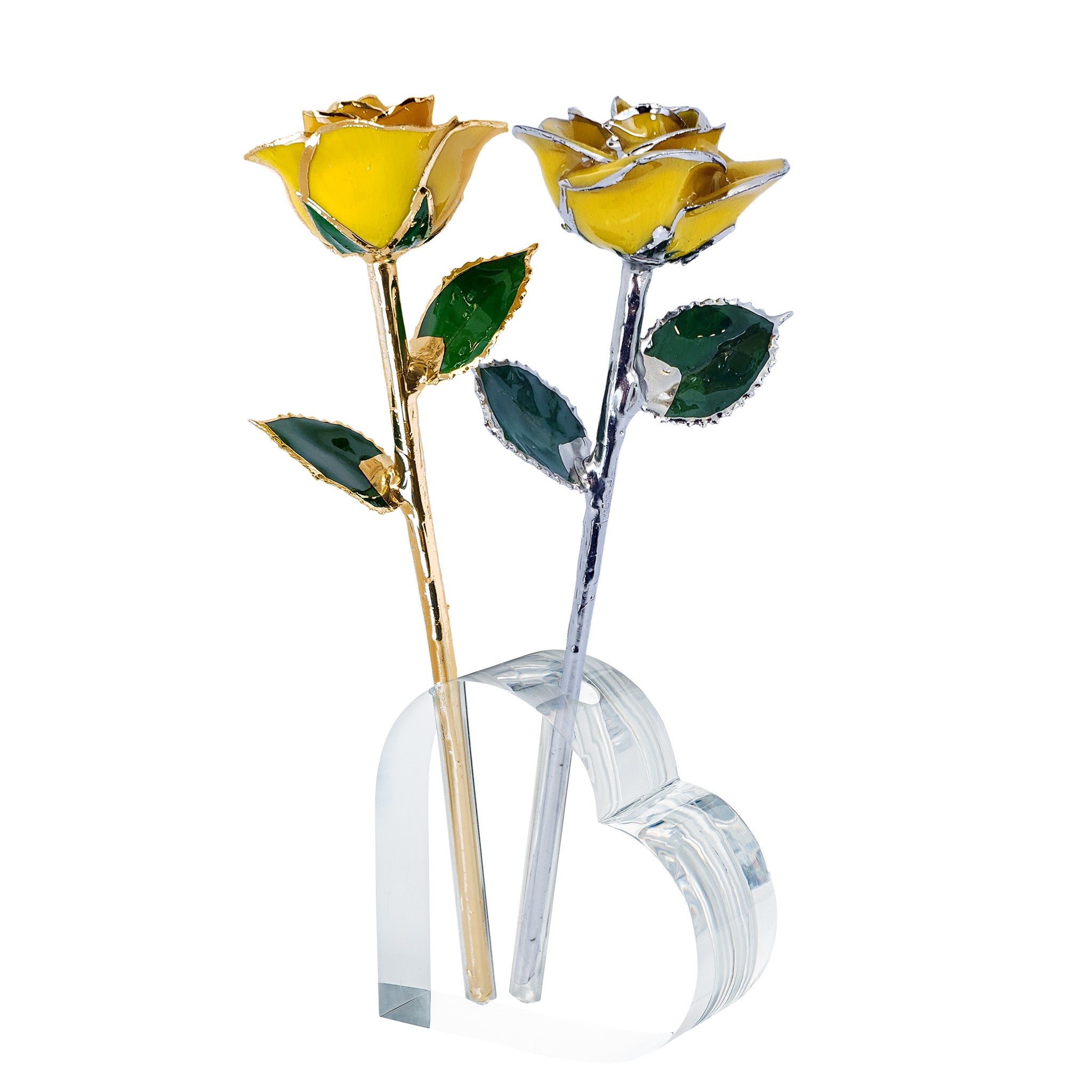 Forever Rose Acrylic Heart Vase Combo