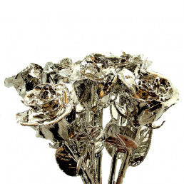 Platinum Dipped Roses: Half Dozen
