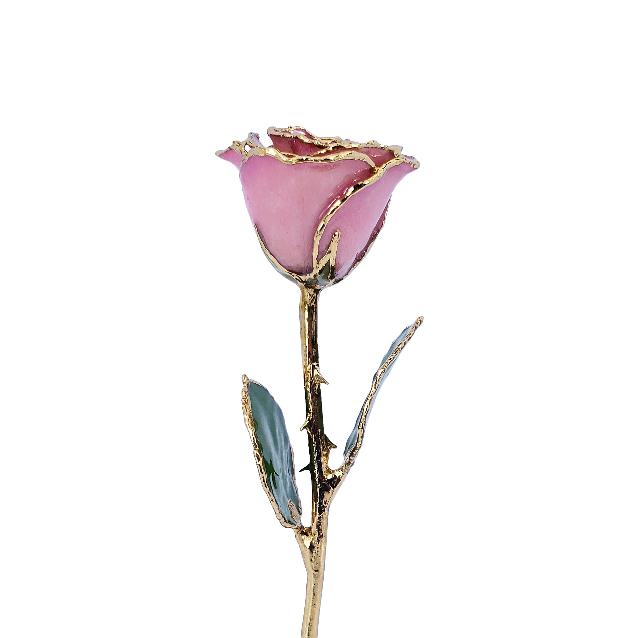 Pink and Gold Fantasy Rose (8")
