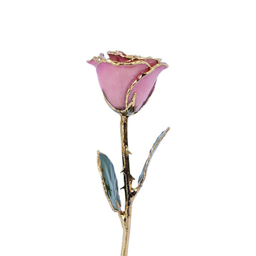 Pink and Gold Fantasy Rose (8")