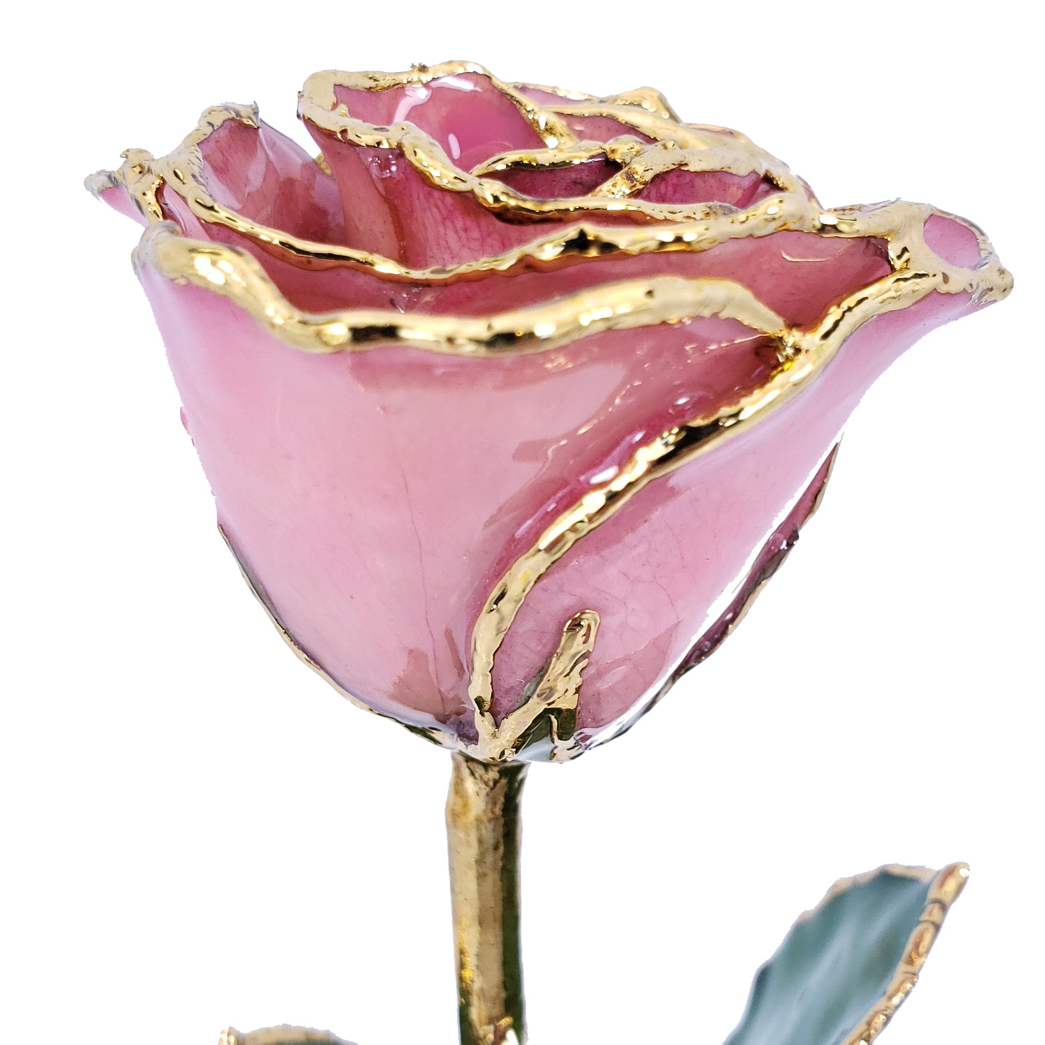 Pink and Gold Fantasy Rose (8")