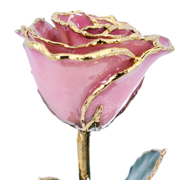 Pink and Gold Fantasy Rose (8")