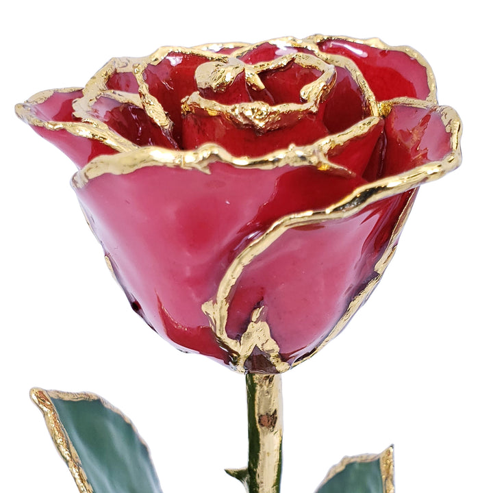 Red and Gold Fantasy Rose (8