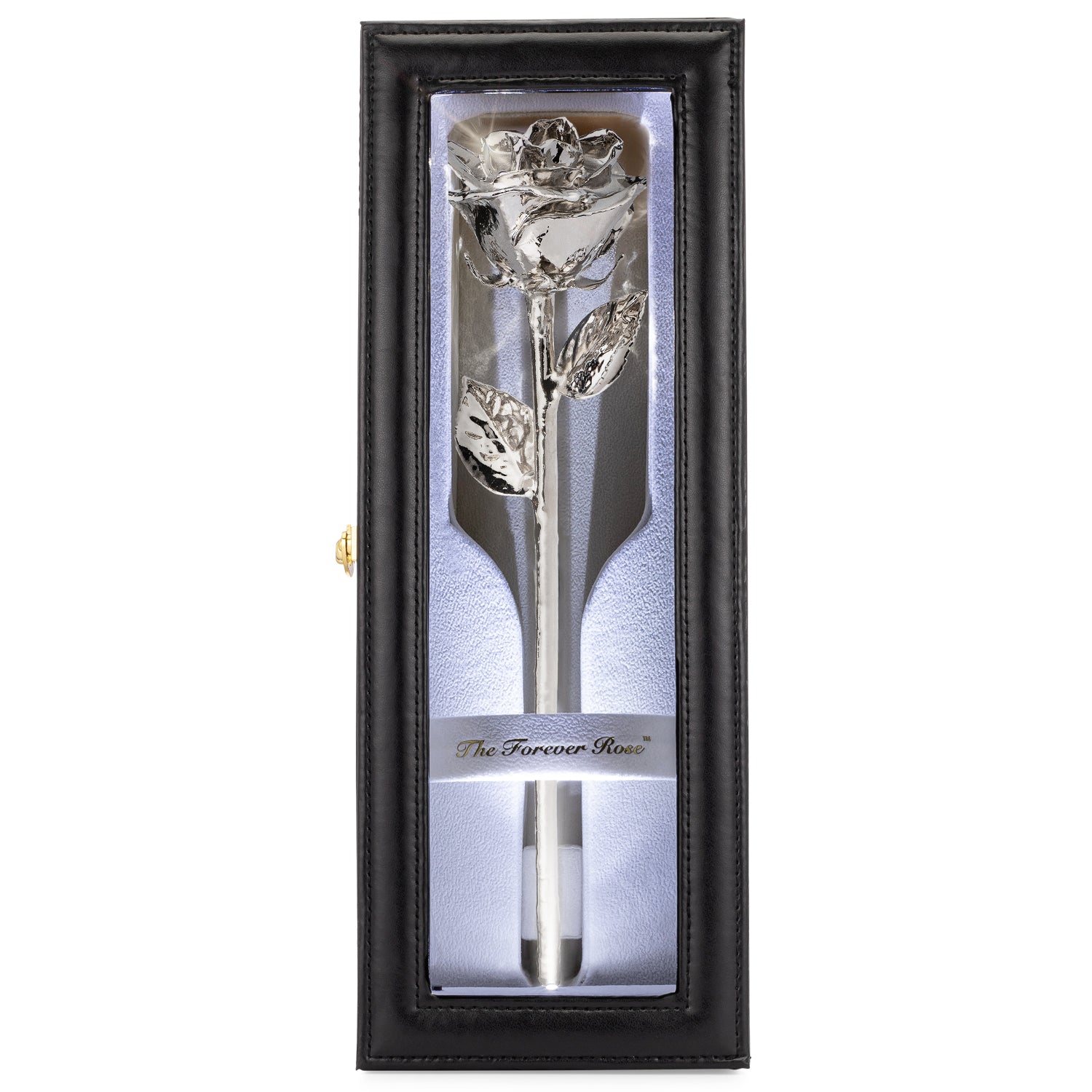 Forever Rose Leather Display Case Combo (Platinum)