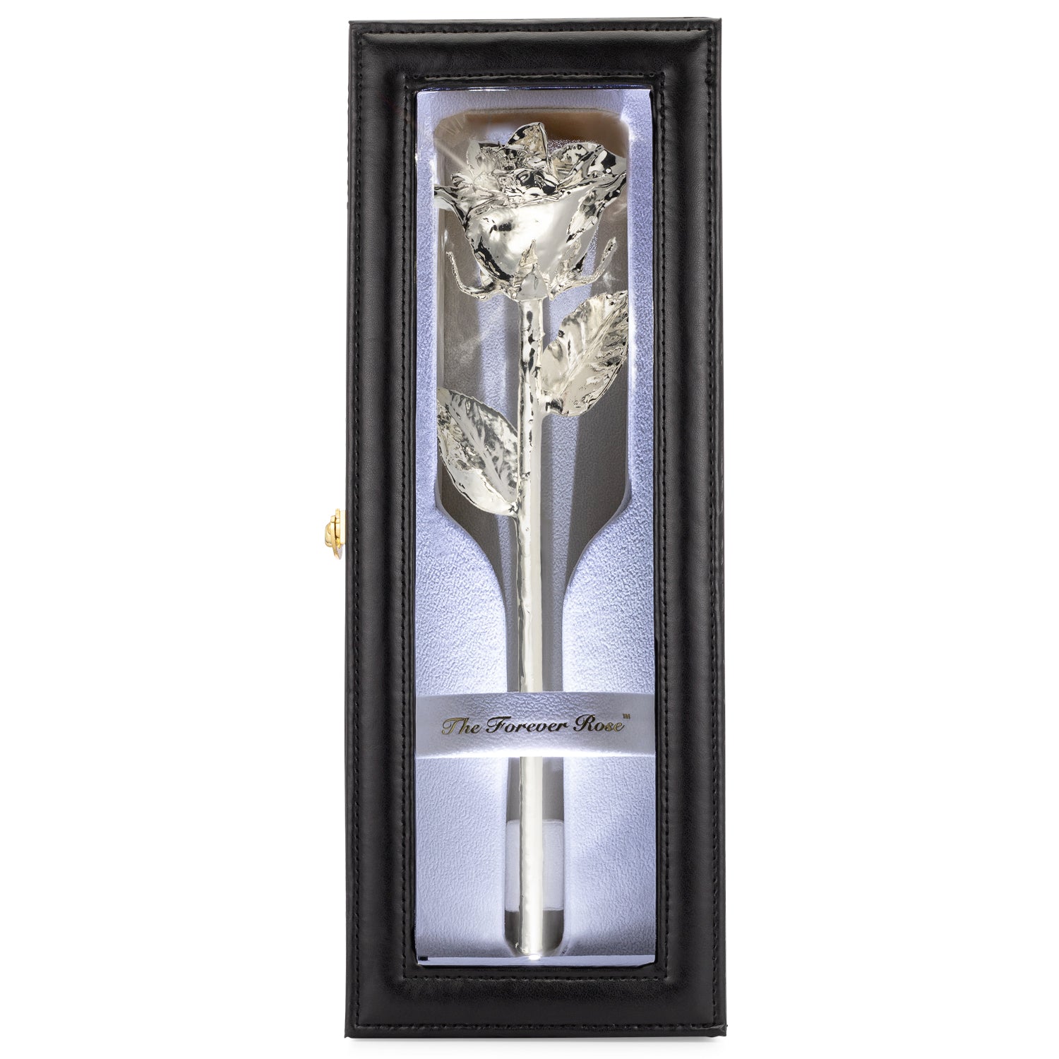 Forever Rose Leather Display Case Combo (Silver)