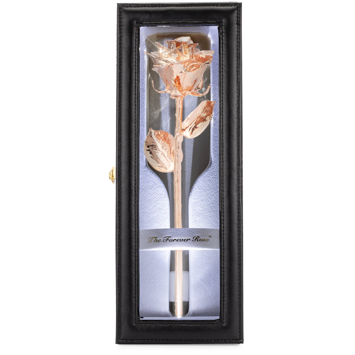 Leather Display Case with LED (1 Rose)