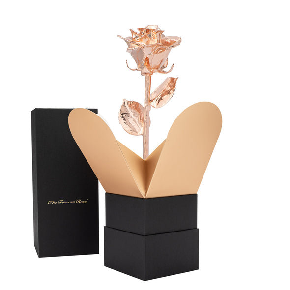 Forever Rose Bloom Box & Phantom Vase™ Combo (Rose Gold)