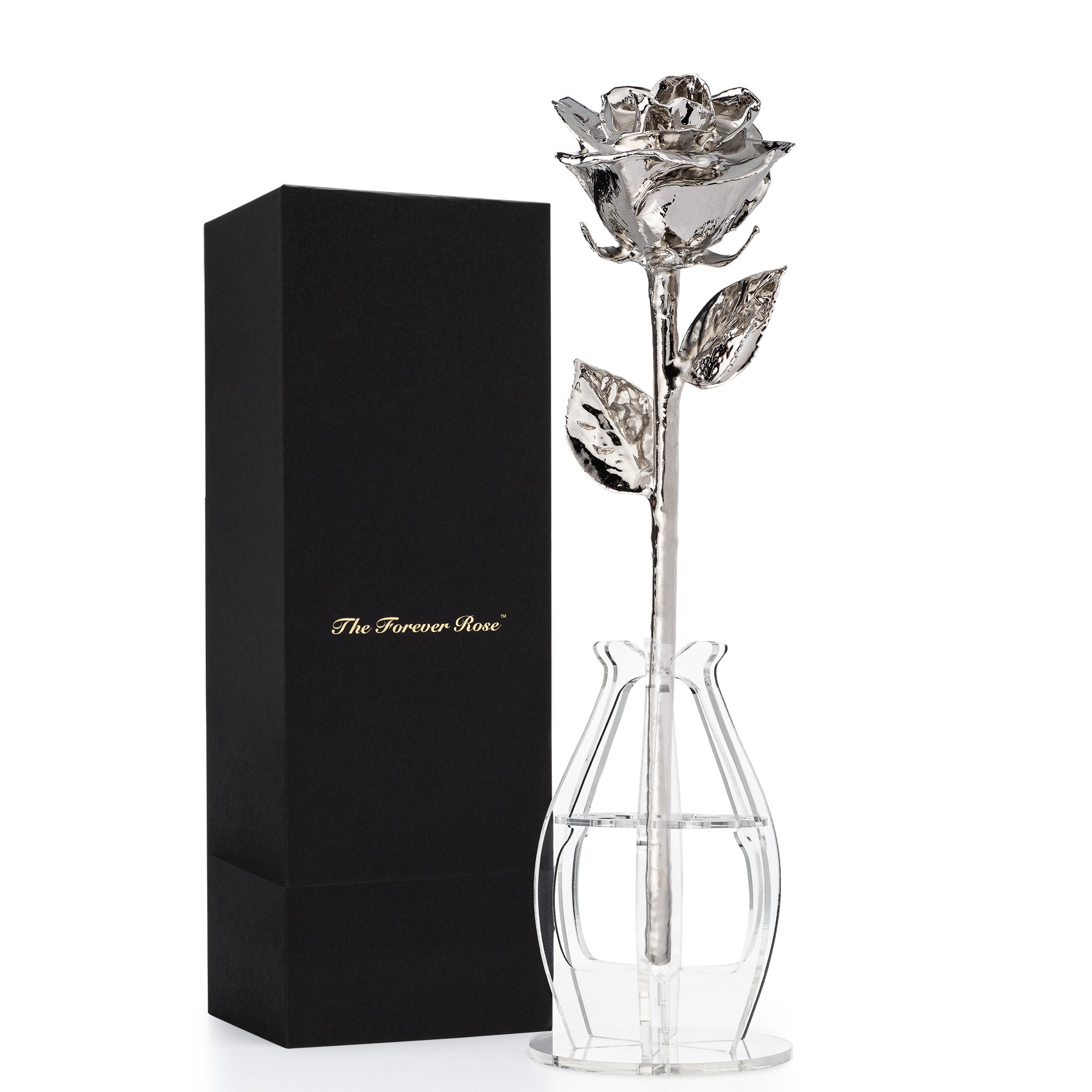 Forever Rose Bloom Box & Phantom Vase™ Combo (Platinum)