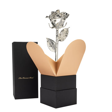 Forever Rose Bloom Box & Phantom Vase™ Combo (Silver)